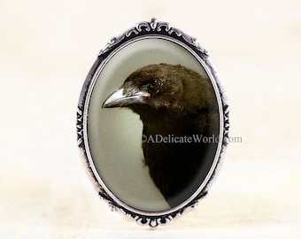 Baby Crow Jewelry Brooch with Wildlife Photo under Glass, Bronze or Silver Black Bird Broach Pin, Gothic Gift