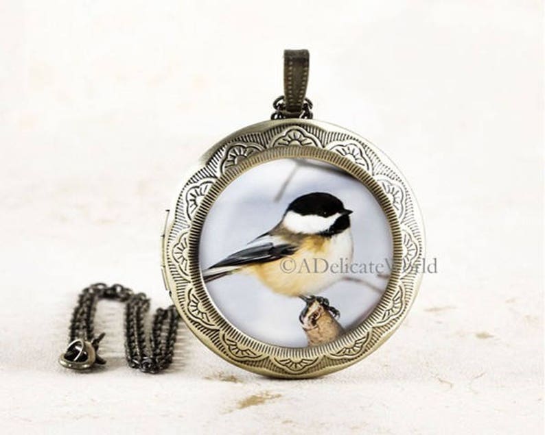 Chickadee Jewelry Locket, Keepsake Pendant, Songbird Gift for Birdwatcher, Winter Bird Necklace, Nature Photography Bronze