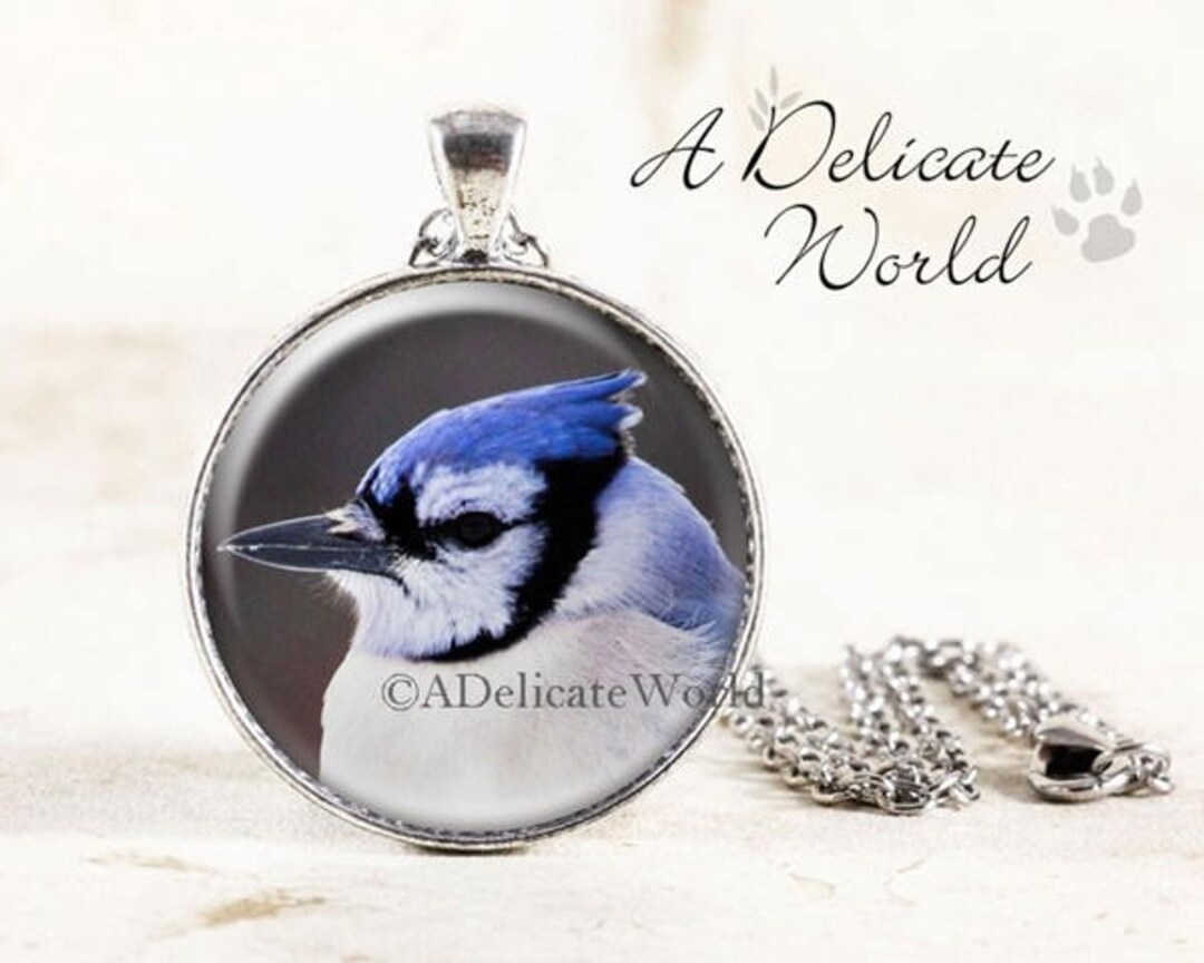Blue Jay Necklace, Silver Bird Jewelry, Small Round Pendant and Chain