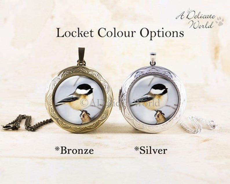 Chickadee Jewelry Locket, Keepsake Pendant, Songbird Gift for Birdwatcher, Winter Bird Necklace, Nature Photography image 2