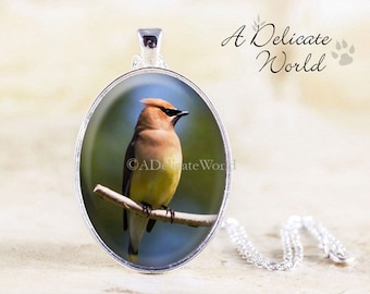 Cedar Waxwing Necklace, Silver Bird Pendant with Original Photography, Handmade Nature Jewelry, Gift for Birders