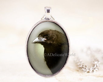 Baby Crow Necklace - Black Bird Jewelry with Wildlife Photography, Antique look in Silver or Bronze Pendant, Gothic Style