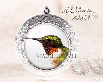 Hummingbird Locket Silver, Ruby Throated Humming Bird Jewelry, Wearable Nature Photography, Large Round Pendant Necklace, Gardener Gift