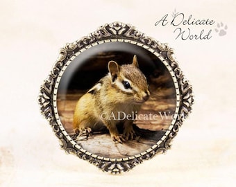 Chipmunk Brooch - Bronze Animal Jewelry, Woodland Animal Brooch Pin, Woodland Chipmunk Jewelry, Chipmunk Photo Jewelry, Animal Lover Gift