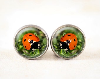Ladybug Earrings - Red Ladybird Earrings, Lady Bug Jewelry, Garden Earrings Studs, Nature Earrings, Bronze Post Earrings, Nature Jewelry