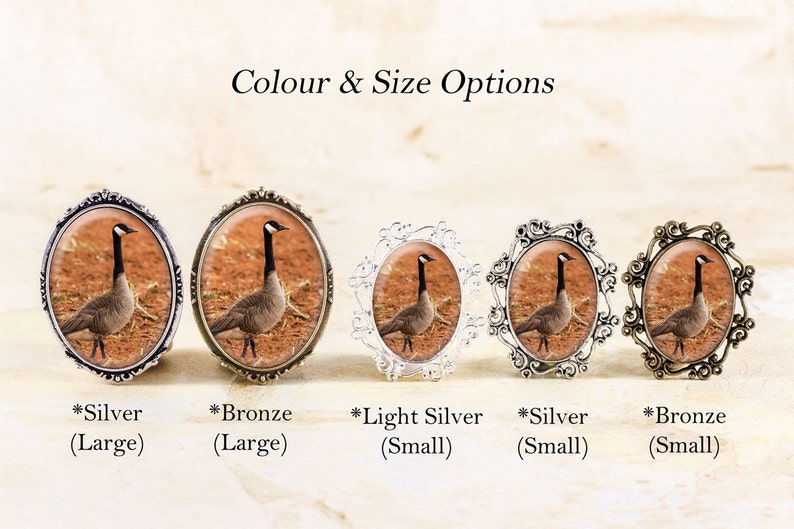 Canada Goose Brooch Pin Canadian Geese Jewelry Pin, Bird Photo Brooch