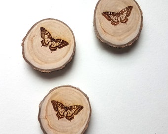 Butterfly Wood Round Magnet, Tree Slice Decorative Fridge Magnet Set