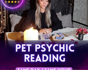 Pet Psychic Reading Intuitive Communication to Connect with Your Pet’s Soul & Understand Their Feelings