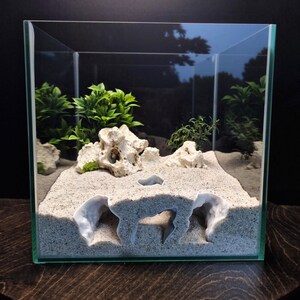 Aquarium Terrarium Sand Tunnel Cave Underground 3 Entryway | Reef Tank Burrow for Fish Shrimp | Saltwater Freshwater Glass Viewing Hide