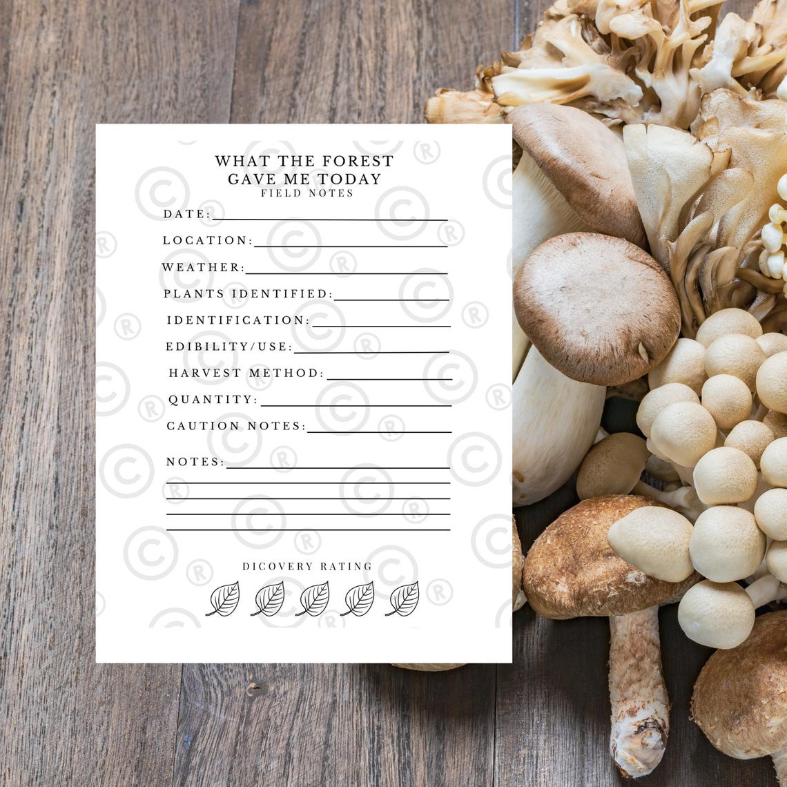 Foraging Journal: Wild Food Gathering Log & Field Notes (printable PDF ...