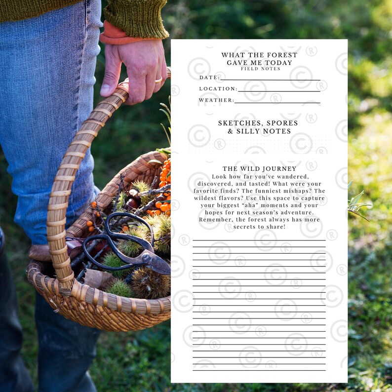 Foraging Journal: Wild Food Gathering Log & Field Notes (printable PDF ...