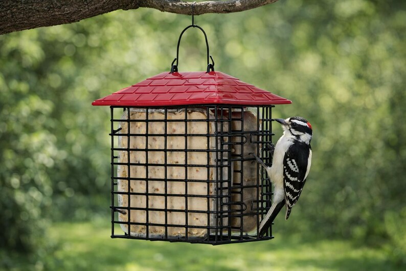 Rectangular Suet Hanging Double Suet Feeder, Rustic Backyard Bird Feeder, Garden Lover ...