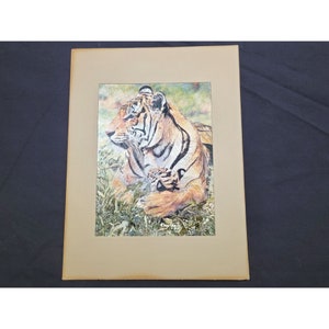Vintage FJ Warren Foil Print Dufex Tiger and Cub Jungle Art