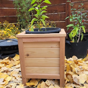 May include: A wooden planter box with a young plant growing inside. The box is made of light-coloured wood and has a slatted design on the front. The planter is surrounded by fallen yellow leaves.