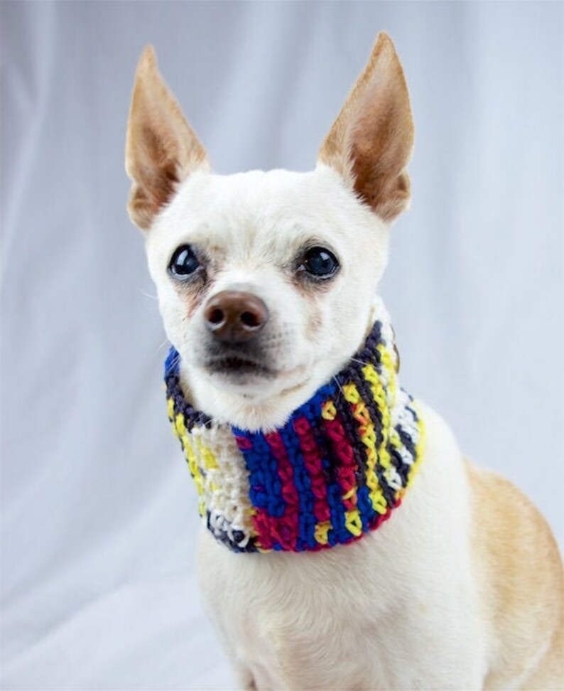 crochet dog scarf
