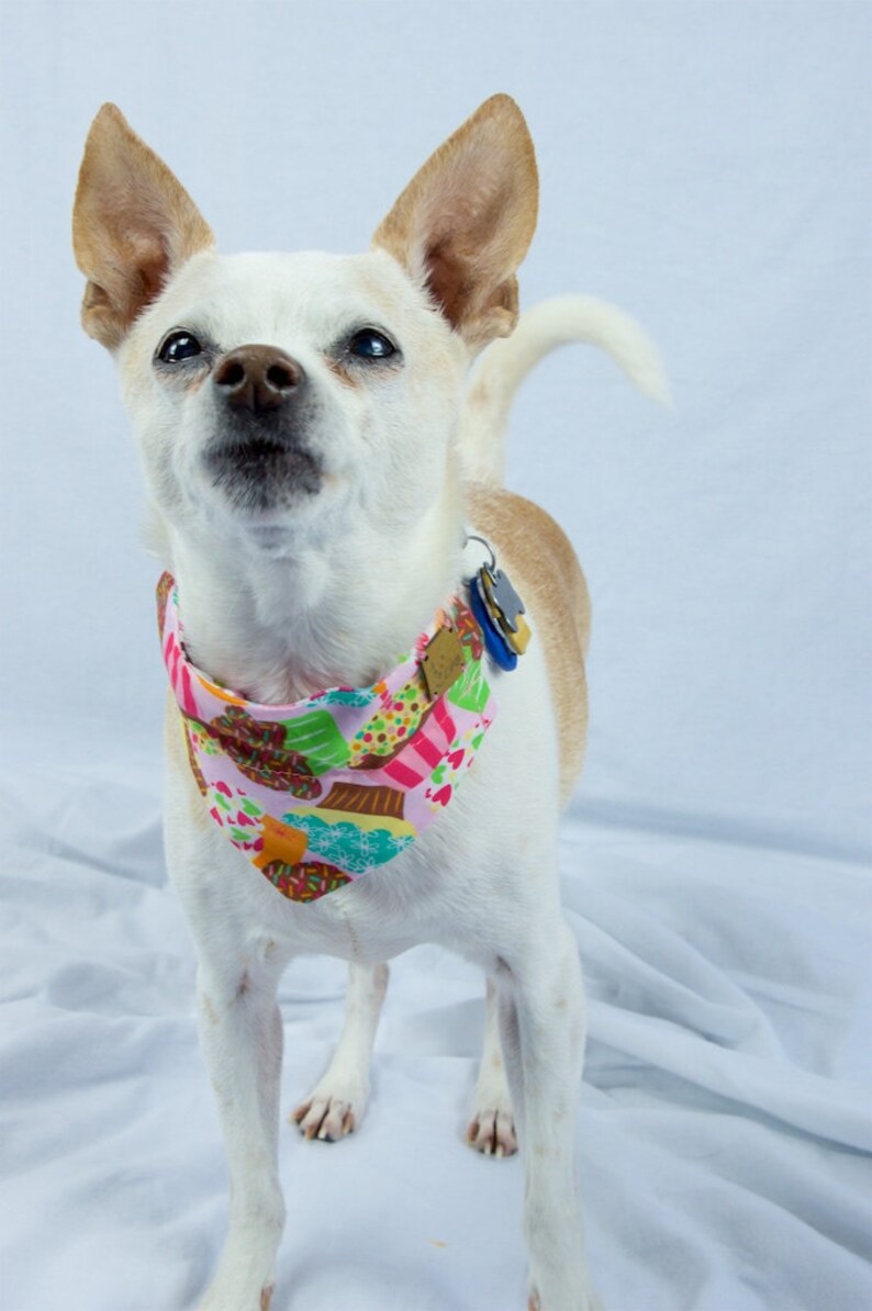 Pink Cupcakes and Floral Reversible Dog Bandana Slip-on Collar Dog Bandana Reversible Dog Scarf