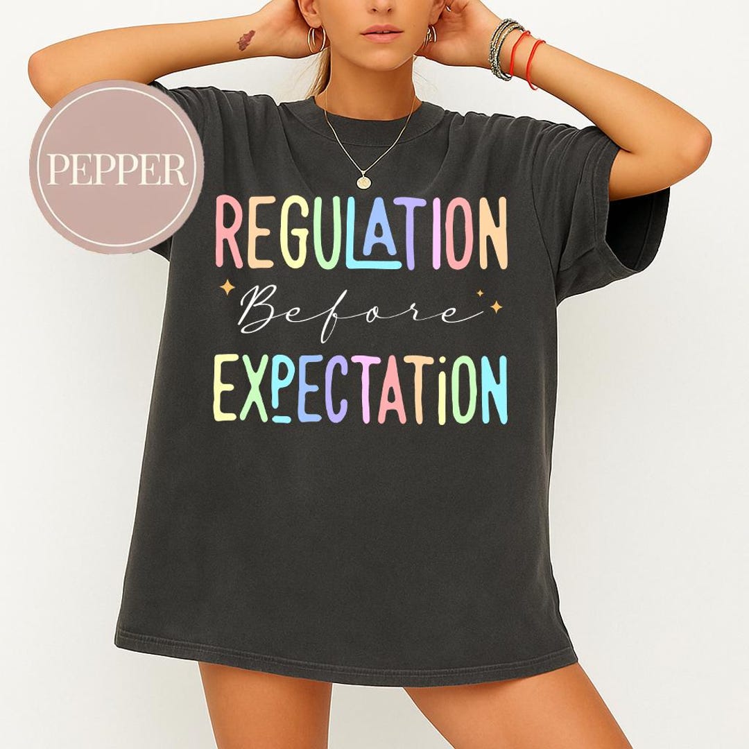 Regulation Before Expectation Shirt, Accessibility Teacher Shirt ...