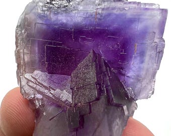 May include: A close-up of a purple and clear fluorite mineral specimen. The fluorite has a layered, crystalline structure with a deep purple hue in the center, fading to clear edges. The specimen is held by a person's fingers.