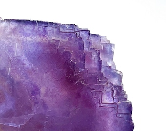 May include: Close-up of a purple fluorite crystal with a layered, geometric structure. The crystal displays varying shades of purple, from deep violet to lighter hues, against a white background. The mineral's surface has a textured appearance.