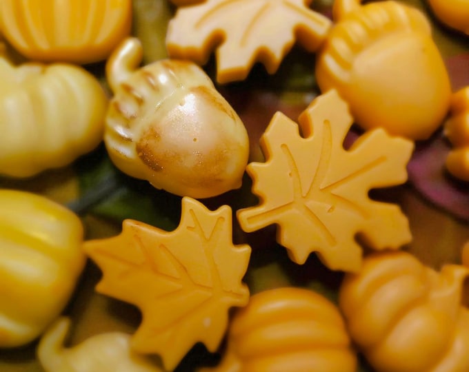 Featured listing image: Autumn Edition Wax Melts. Fun shapes and great scents available now! Beeswax and Soy blend.