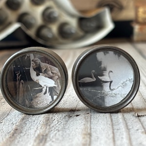 Pair of Tiny Swan Assemblages