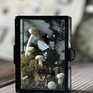 Może przedstawiać: Czarne szklane pudełko z miniaturową sceną wróżki w środku. Wróżka to czarno-białe zdjęcie chłopca z skrzydłami. Scena zawiera białe grzyby, mech i ślimaka.