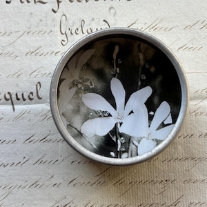 Könnte beinhalten: Ein runder, silberfarbener Metallbehälter mit einem schwarz-weißen Blumendesign. Das Bild zeigt weiße Blumen mit funkelnden Verzierungen. Der Behälter liegt auf einem Hintergrund aus Vintage-Schrift.