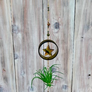 May include: A hanging air plant holder with a gold star inside a dark green ring. The holder is suspended by a gold chain with decorative beads. A green air plant is held in a gold wire basket below.