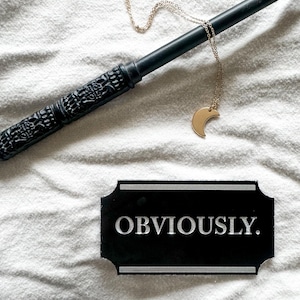 May include: A black wand with a textured handle, a gold-toned crescent moon pendant on a delicate chain, and a rectangular black sign with silver borders featuring the white text OBVIOUSLY. The items are arranged on a light-colored fabric.