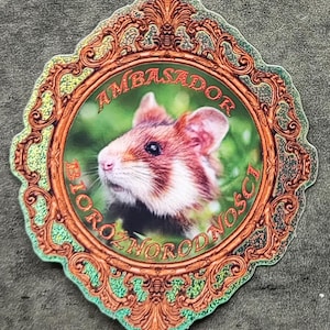 Può includere: Un adesivo con un criceto all'interno di una cornice decorativa. La cornice è dorata e verde con dettagli ornati. Il testo "AMBASSADOR BIORÓŻNORODNOŚCI" è scritto attorno al criceto.