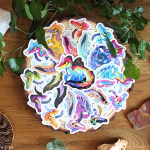 Puede incluir: Una colección de pegatinas de vinilo troqueladas con ilustraciones de dragones coloridas y estilizadas en varias poses y tonos vibrantes, incluyendo matices de azul, morado, naranja y rojo, dispuestas en un grupo circular.