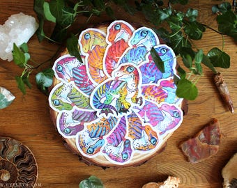 May include: A circular arrangement of multiple die-cut stickers featuring a colorful, stylized raptor dinosaur with large blue eyes. Each sticker displays a unique vibrant color palette including shades of pink, orange, blue, green, and purple.
