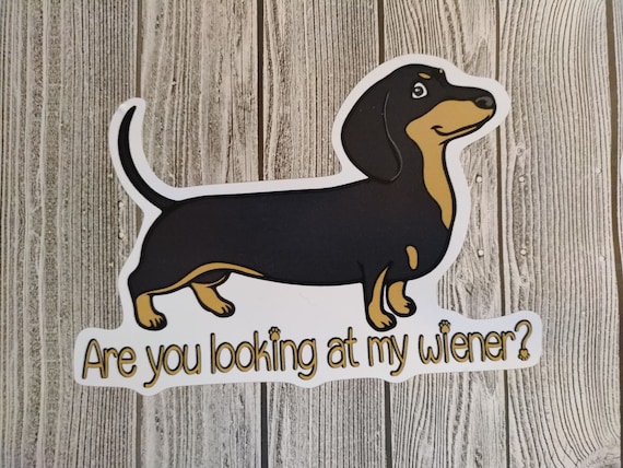 Crazy Dachsy Lady Window Decal - 6" Tall Vinyl Dachshund Dog Sticker For Car Or Home