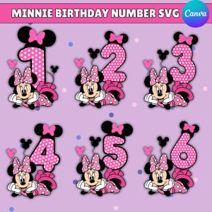 May include: A digital graphic set featuring the numbers one through six, each styled with pink and white polka dots. Each number is accompanied by a cartoon mouse character wearing a pink bow and polka dot dress, with text reading MINNIE BIRTHDAY NUMBER SVG.