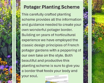 May include: A light green graphic with the text "Blissford Garden Design" and "Potager Planting Scheme." The scheme provides information and guidance for creating a potager border. The background shows a garden with purple and yellow flowers.