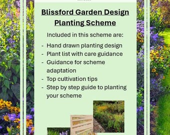 May include: A light green graphic for Blissford Garden Design, detailing a planting scheme. It includes a hand-drawn design, plant list, and guidance. The background shows a garden with purple and yellow flowers, framed by a green border.