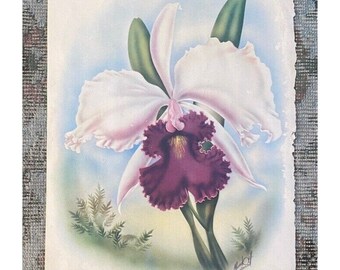 VTG Original Hawaiian Ted Mundorff Cattleya Orchid Art Print watercolor flower