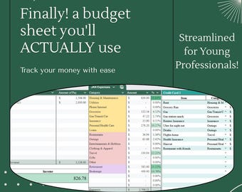 Simple Budget Tracker: Google Sheets & Excel | College Student Budget sheet | Annual Income Tracker