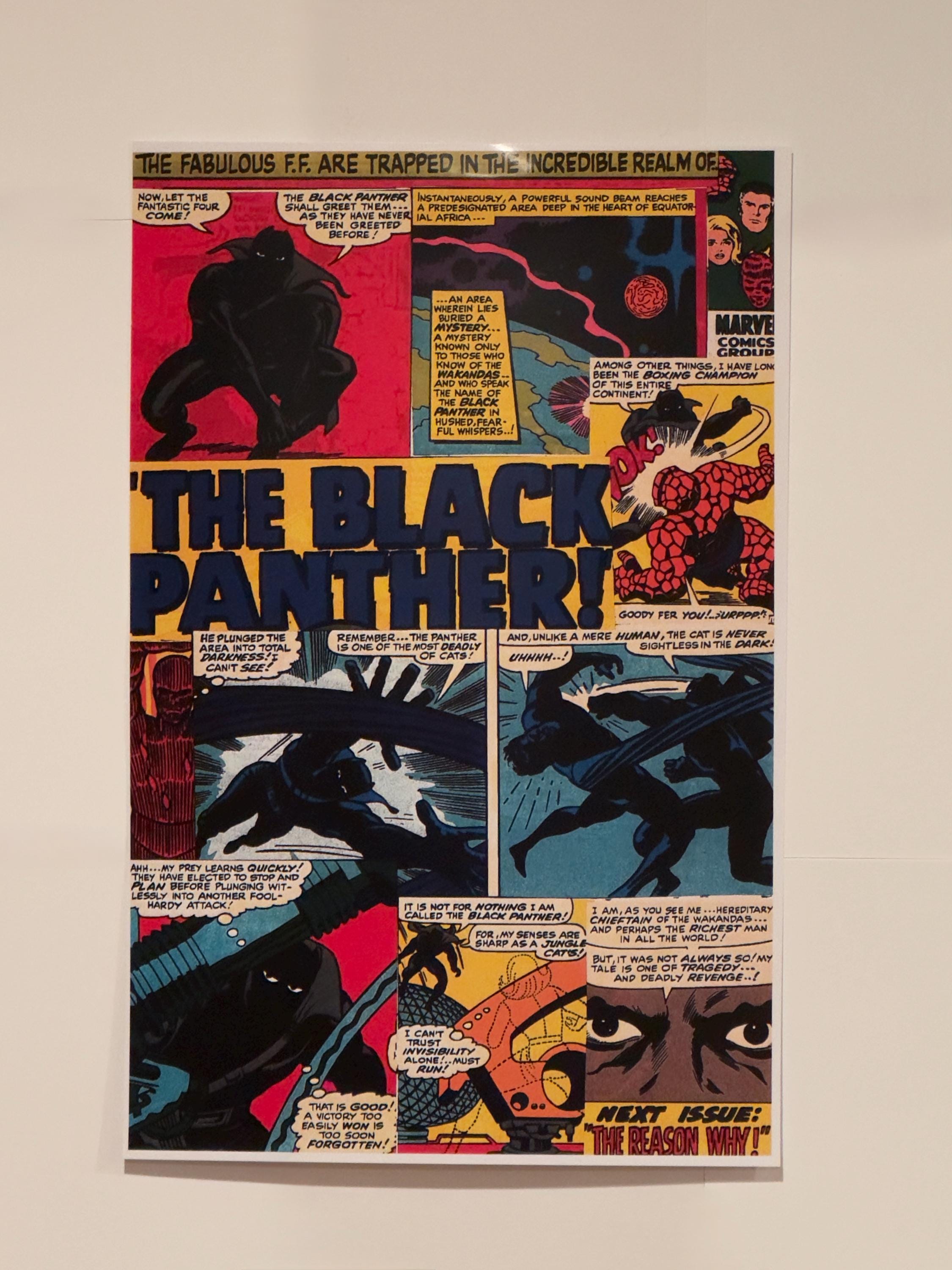 70s Black Panthers - Etsy