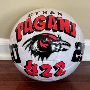 Hand Painted Customized Soccer Balls