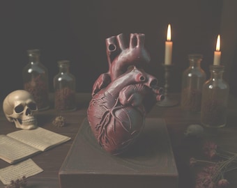 Anatomical Heart Sculpture, Gothic 3D Printed Heart, Curiosity Cabinet Art & Horror Display