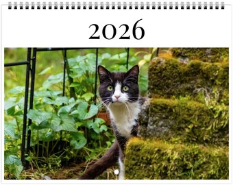 Calendrier mural 2026 Chats dans la nature : collection de photos