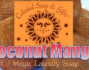 Coconut Mango  Natural VEGAN Laundry Soap Powder Bag - 40-80 LOADS Gross Wt. 44 oz