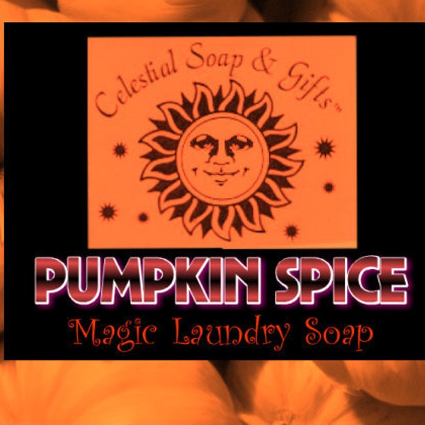 Pumpkin Spice VEGAN Laundry Soap Powder Bag - 40-80 LOADS Gross Wt. 44 oz.