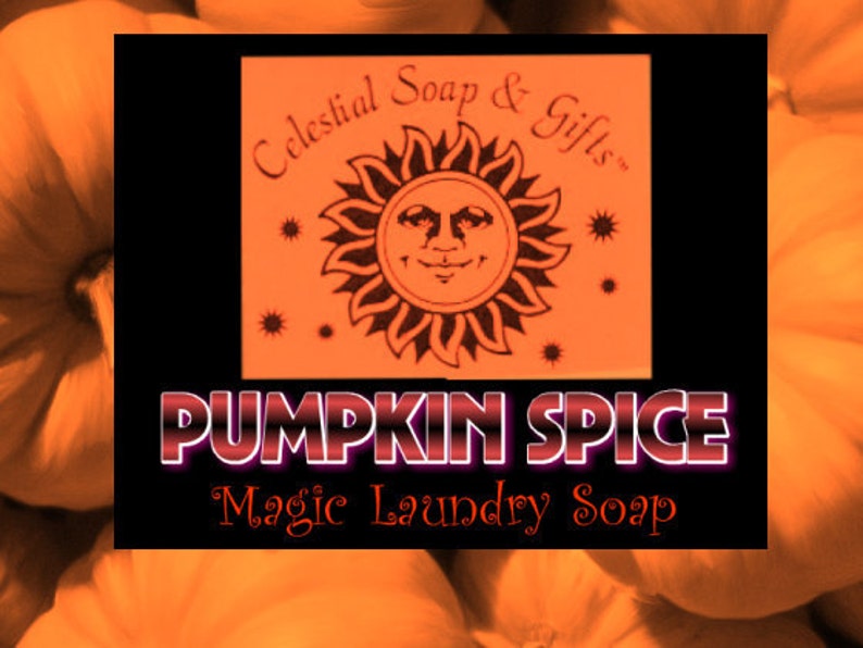 Pumpkin Spice VEGAN Laundry Soap Powder Bag  40-80 LOADS image 1
