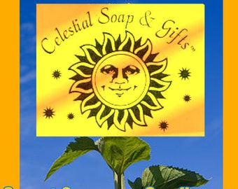 Sweet Orange & Sunflower Natural VEGAN Laundry Soap Powder Bag 40-80 LOADS Gross Wt. 44oz.