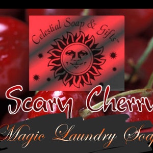 Scary Cherry VEGAN Laundry Soap Powder 6 oz. SAMPLE 5-10 LOADS Detergent Halloween Limited Edition
