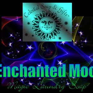 ENCHANTED Moon Natural VEGAN Laundry Soap Powder 6 oz 5-10 Loads SAMPLE