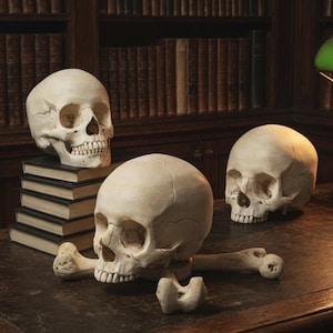 Crâne humain réaliste grandeur nature - Tête de mort imprimée en 3D peinte à la main - Décoration gothique d'Halloween très détaillée