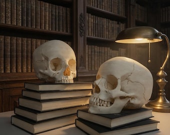 Teschio umano realistico a grandezza naturale - Teschio stampato in 3D e dipinto a mano - Decorazione gotica di Halloween ricca di dettagli